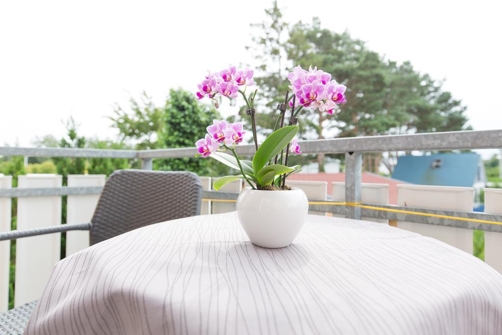 Hotel Garni Am Deich Zingst Oda fotoğraf
