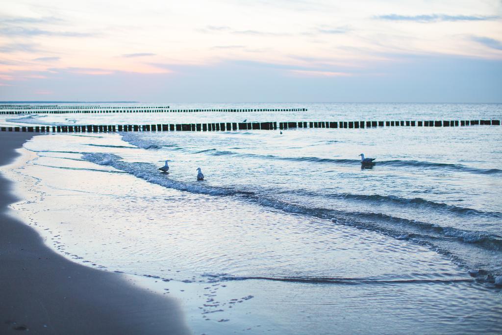 Hotel Garni Am Deich Zingst Dış mekan fotoğraf